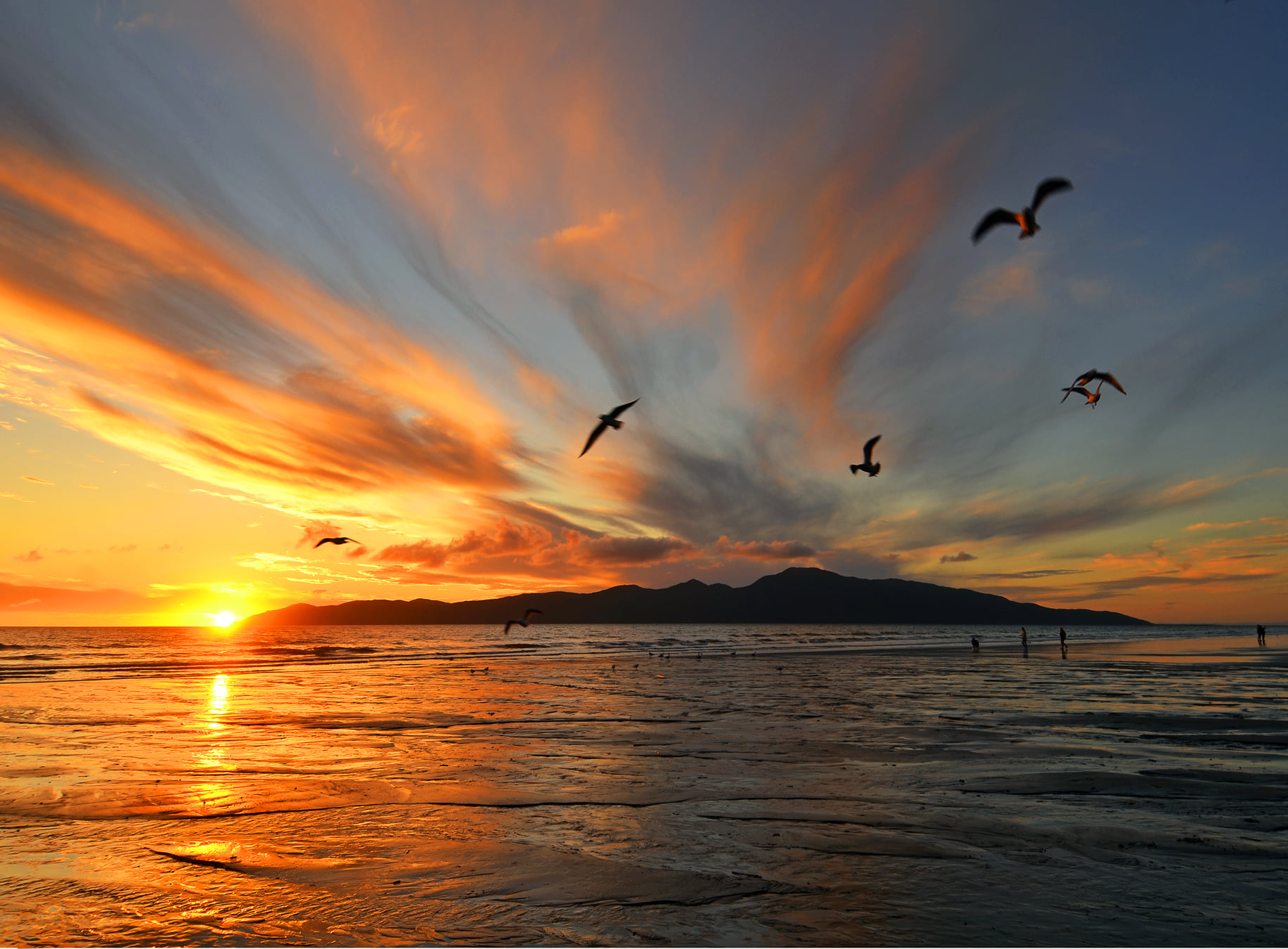 Kapati Island at sunset, waves lapping on beach seagulls flying in the sky